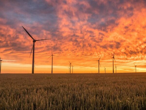 Opportunities for Engineers Increase as Wind Energy Grows